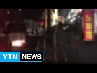 가출 청소년 꾀어 돈 벌면 조폭이 등치고...'악의 고리' / YTN (Yes! Top News)