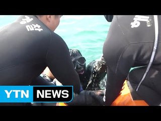 해경 직원 4명, 국제해사기구 '바다의 의인상' 수상 / YTN (Yes! Top News)