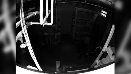 Si te buscan los SWAT este es el truco definitivo para escapar