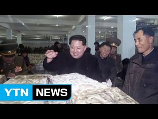 김정은 겨울 앞두고 어획량 독려...군까지 동원 / YTN (Yes! Top News)