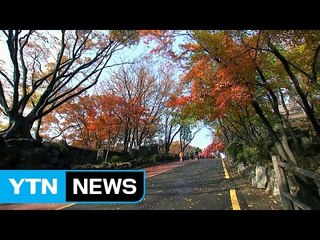 [날씨] 추위, 내일 낮 풀려...모레까지 해수면↑ / YTN (Yes! Top News)