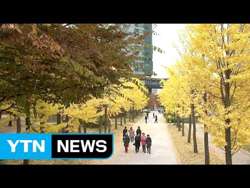 [날씨] 오늘 전국 가을비...예년보다 쌀쌀 / YTN (Yes! Top News)
