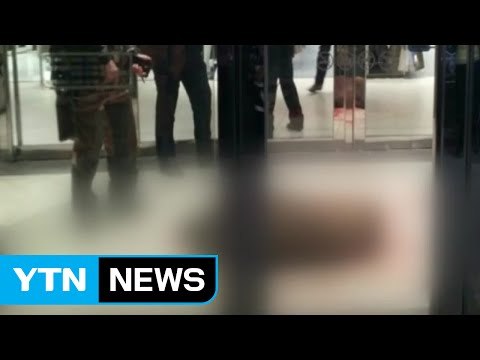 대구 도심에 멧돼지 출현...엽총으로 사살 / YTN (Yes! Top News)