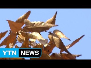 [날씨] 미세먼지 걱정 없어...구름 많고 동해안 비 / YTN (Yes! Top News)