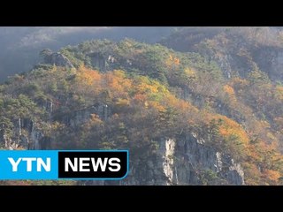 막바지 단풍 절정...지역 축제도 열려 / YTN (Yes! Top News)