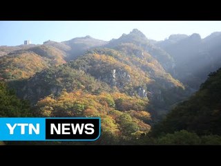 막바지 단풍 절정...지역 축제도 열려 / YTN (Yes! Top News)