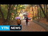 [날씨] 입동 추위 부르는 비...서울 첫 한파주의보 / YTN (Yes! Top News)