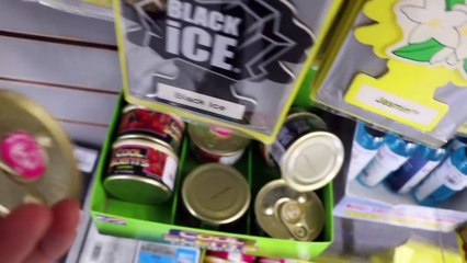 AN ENTIRE VLOG WITHOUT TALKING