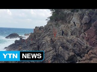 삼척서 파도에 휩쓸려 해경 등 3명 사망·실종 / YTN (Yes! Top News)