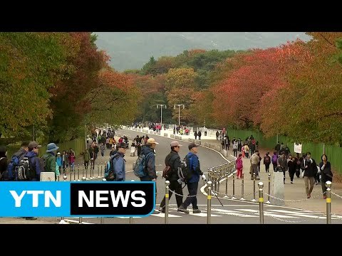 [날씨] 주말 가을 추위...막바지 단풍 나들이 / YTN (Yes! Top News)