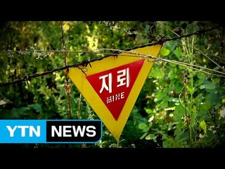 민간인 피해 최다지역, 지뢰제거작전은 '0번' / YTN (Yes! Top News)