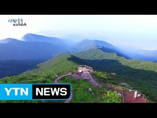 산림강국 코리아 1회 / YTN (Yes! Top News)