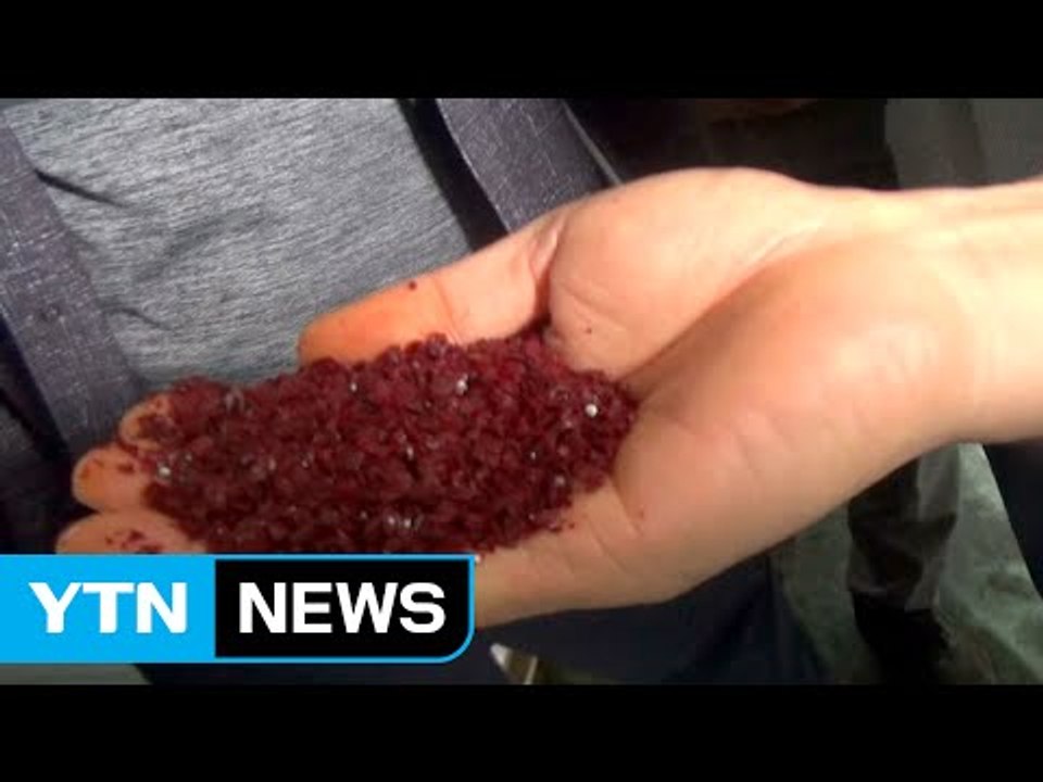 중국산 다진 양념, 고춧가루로 속여 팔아 / YTN (Yes! Top News)