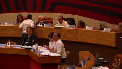 Intervention sur la question du pôle d'échange multimodal