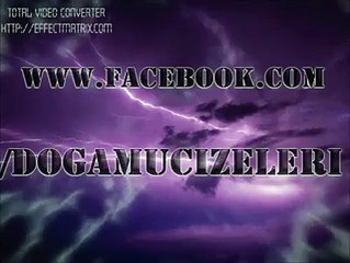 Kışın ölen yazın dirilen kurbağa