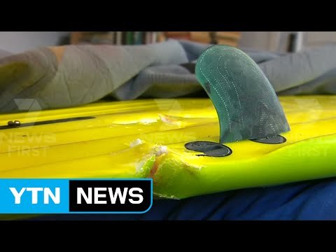 호주 '서핑 시즌' 앞두고 상어 공격 '비상' / YTN (Yes! Top News)