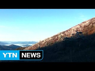 [영상] 서리가 만든 꽃...설악산 첫 상고대 관측 / YTN (Yes! Top News)