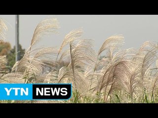[날씨] 전국 흐리고 선선...제주도·호남 해안 비 / YTN (Yes! Top News)