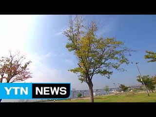 [날씨] 낮 동안 전국 맑고 포근...해수면 수위↑ / YTN (Yes! Top News)
