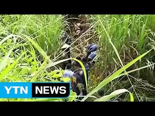 피살 한인과 사기 공모 여성 구속영장 신청 / YTN (Yes! Top News)