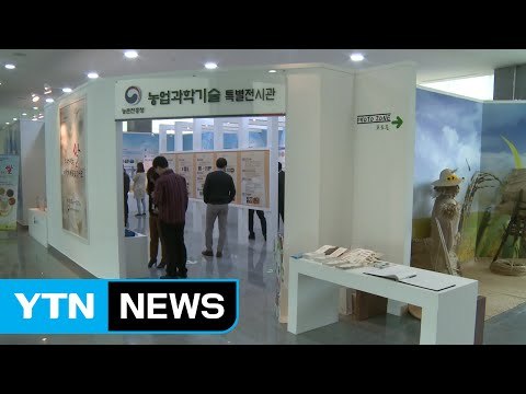 우리 쌀의 역사를 한눈에...쌀 특별전시회 / YTN (Yes! Top News)