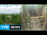 필리핀에서 한국인 3명 총격 피살 / YTN (Yes! Top News)