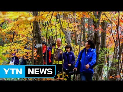 이번 주말 설악산 단풍 절정...북한산 '첫 단풍' / YTN (Yes! Top News)