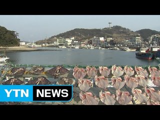 전남 강진 머무는 관광지로 탈바꿈 기대 / YTN (Yes! Top News)