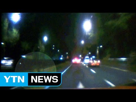 [영상] 서울 도심 6차로에 멧돼지 출현...실탄 쏴 사살 / YTN (Yes! Top News)