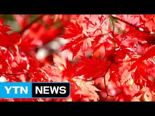미세먼지 오후에 다소 옅어져...주말 강원도 단풍 절정 / YTN (Yes! Top News)