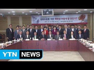 與 원유철 "한국형 핵무장 프로그램 작동해야" / YTN (Yes! Top News)