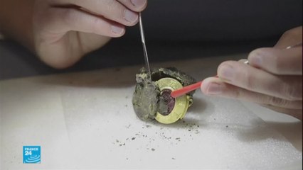 طلاب فرنسيون يكتشفون آلافا من العملات المعدنية تعود إلى القرون الوسطى