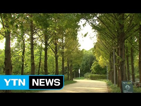 [날씨] 완연한 가을...내일 맑고 선선·큰 일교차 / YTN (Yes! Top News)