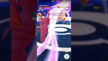 Pokémon GO Gym Battles Level 7 & 9 Typhlosion Larvitar Pichu Crobat Bellossom Togepi & more