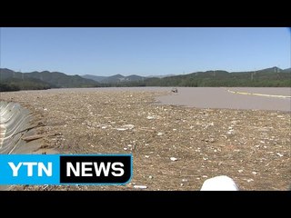 울산시, "내일 특별재난지역 건의서 제출" / YTN (Yes! Top News)