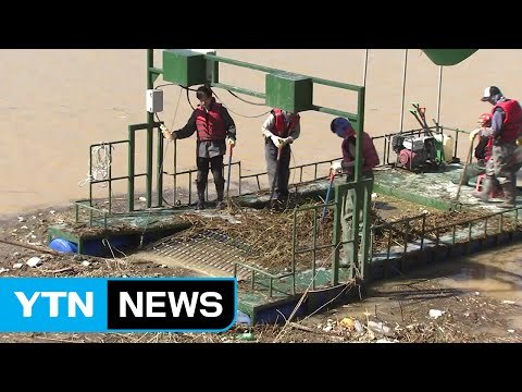 상수원을 보호하라 ...회야댐 쓰레기 수거 총력전 / YTN (Yes! Top News)