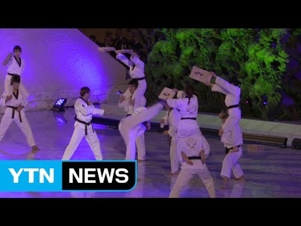 세계태권도연맹 시범단,  바티칸서 첫 시범 공연 / YTN (Yes! Top News)