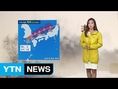 [이 시각 태풍 상황] 태풍, 정오쯤 부산 앞바다 지날 듯...울산 물폭탄 / YTN (Yes! Top News)