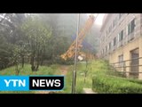 태풍 '차바'로 4명 사망·3명 실종...재산피해도 잇따라 / YTN (Yes! Top News)