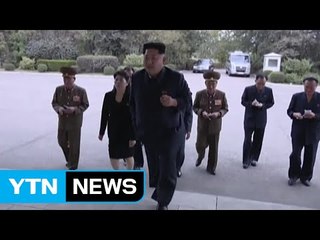 "北 김정은 건강관리 특수기관 인사 탈북해 국내 입국" / YTN (Yes! Top News)