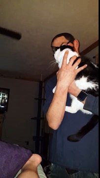 Ce chat transforme un câlin en un beau coup de griffe !