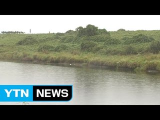 충남 서북부 호우주의보...빗줄기 강해져 / YTN (Yes! Top News)