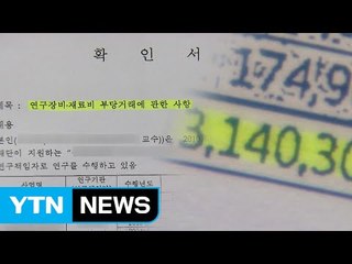 국가 연구비 부정 사용..."빙산의 일각" / YTN (Yes! Top News)