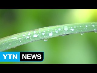[날씨] 중부 비 내리며 선선...내일 남부·영동 가을비 / YTN (Yes! Top News)