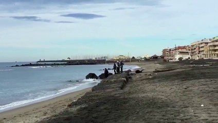 Ostia, pattuglia della Polizia Locale impedisce suicidio