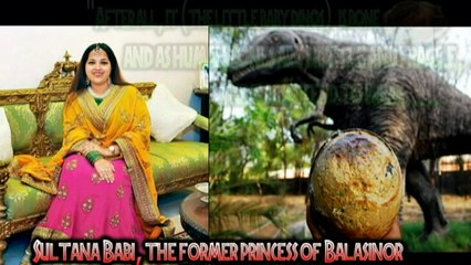 Jurassic: DINOSAURS and EARTH PROVEN YOUNG (DINOSAUR DOCUMENTARY)