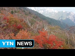 깊어가는 가을...설악산 첫 단풍 29일 / YTN (Yes! Top News)