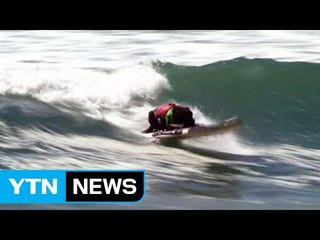 [영상] 애완견들의 서핑 "사람보다 낫네" / YTN (Yes! Top News)