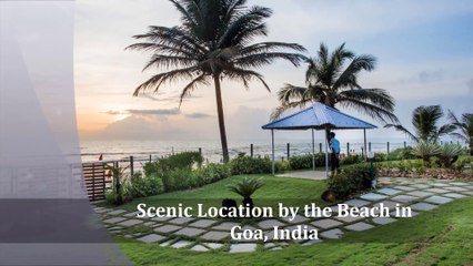 YOGA RETREAT IN GOA INDIA