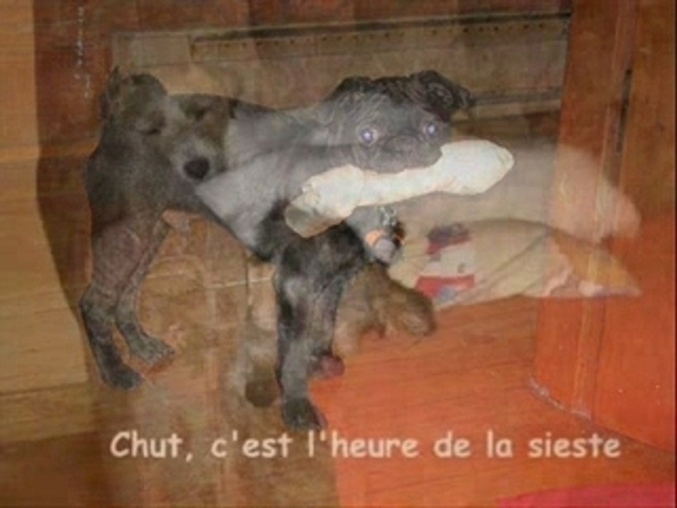 Photo insolite